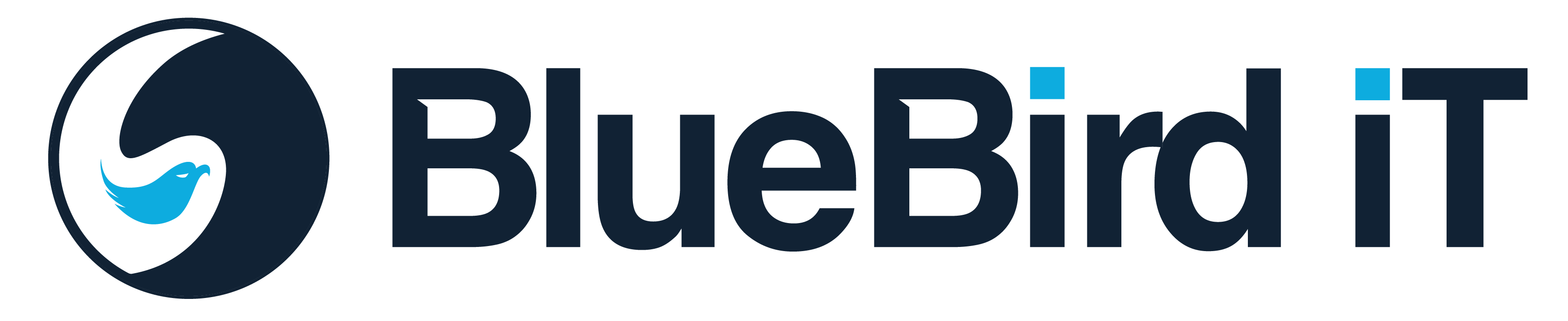 Bluebird iT logo - colour
